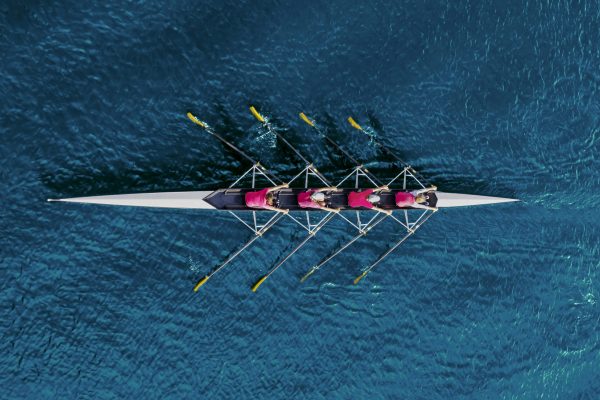 Women's rowing team on blue water, top view